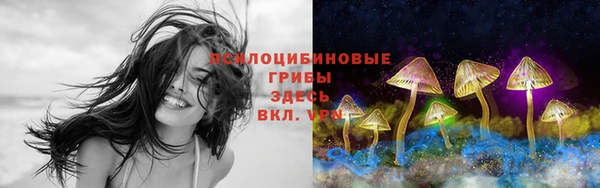 PSILOCYBIN Абинск