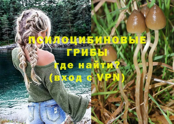 кокс Абдулино