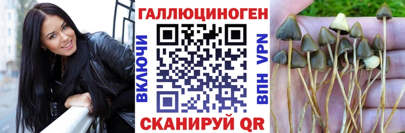 купить   кракен tor  Галлюциногенные грибы Psilocybe  Североморск 